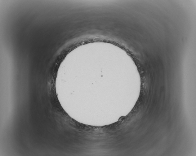 X0000111821495200909031440
