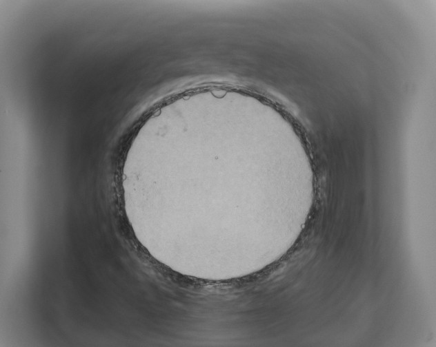 X0000111821496200909031440