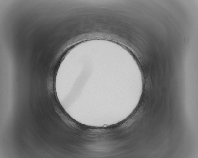 X0000111821499200909031440