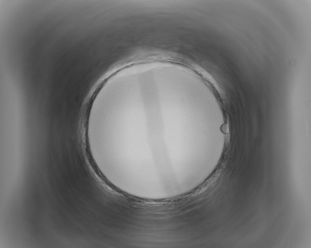 X0000111821500200909031440