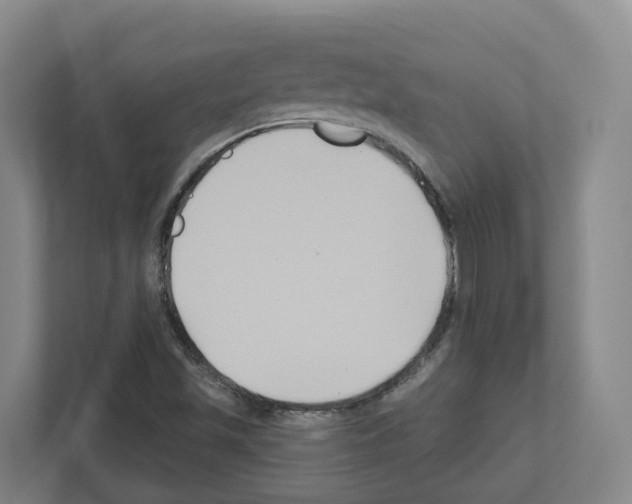 X0000111821501200909031440