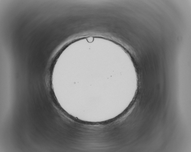 X0000111821502200909031440