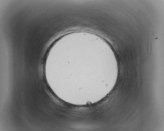 X0000111821503200909031440