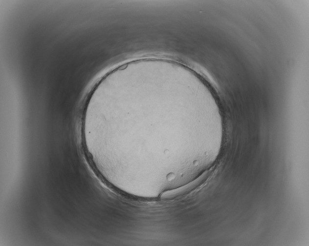 X0000111821504200909031440