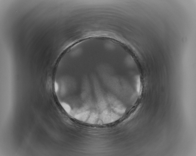 X0000111821505200909031440