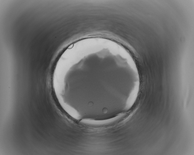 X0000111821506200909031440