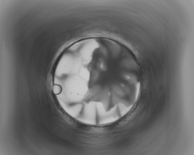 X0000111821509200909031440