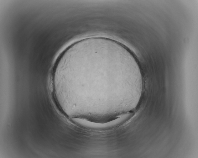 X0000111821510200909031440