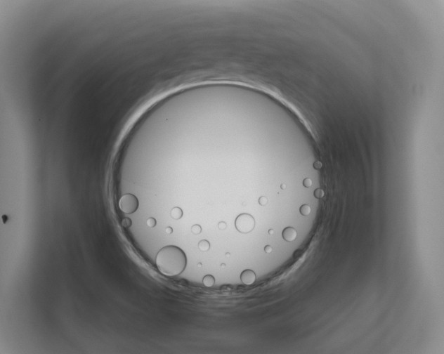 X0000111821511200909031440