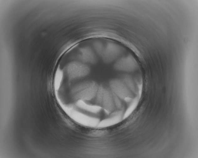 X0000111821513200909031440