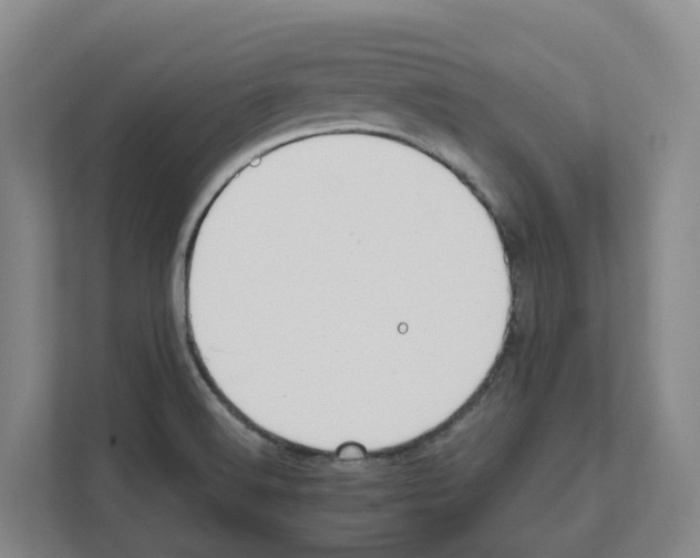 X0000111821516200909031440