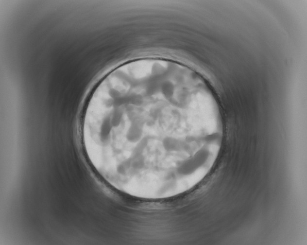 X0000111821517200909031440