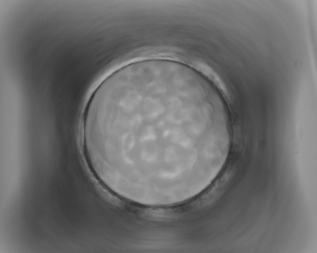 X0000111821520200909031440