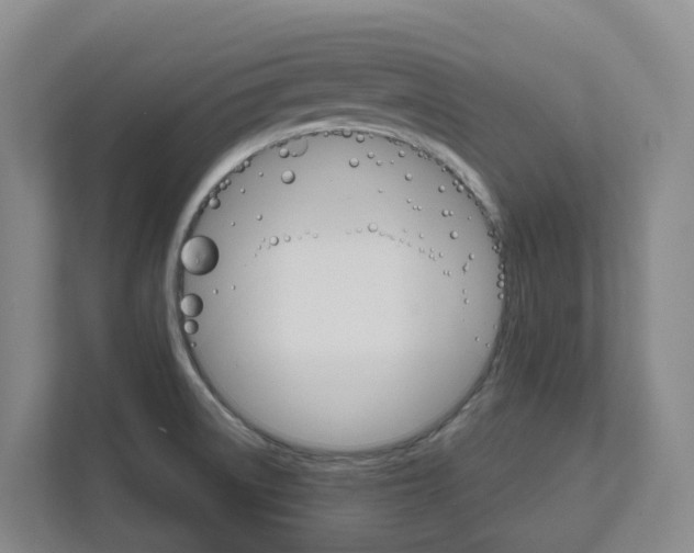 X0000111821522200909031440