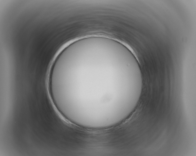 X0000111821523200909031440
