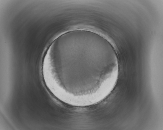 X0000111821525200909031440