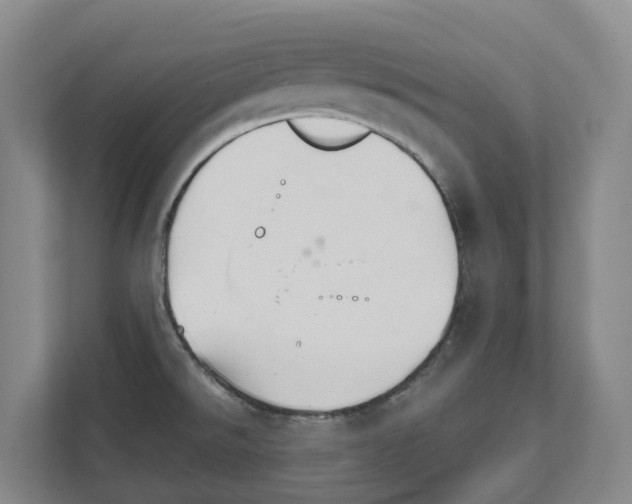 X0000111821526200909031440