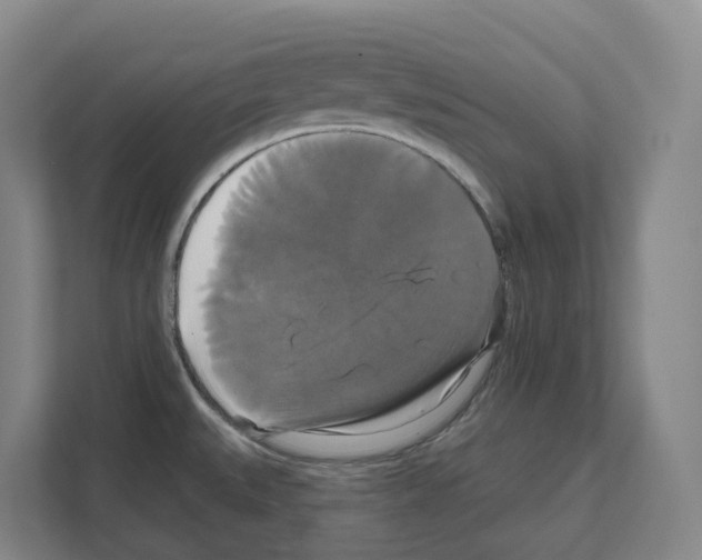 X0000111821527200909031440