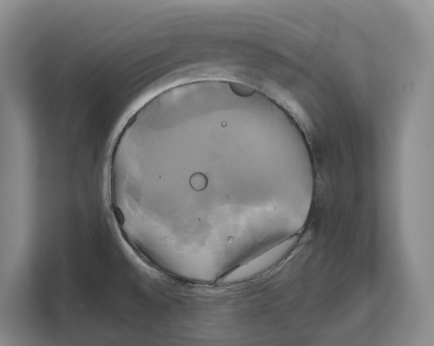 X0000111821528200909031440