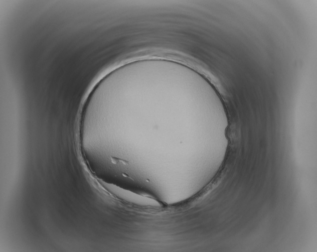 X0000111821530200909031440