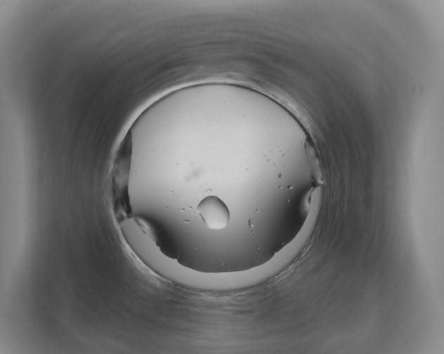 X0000111821532200909031440