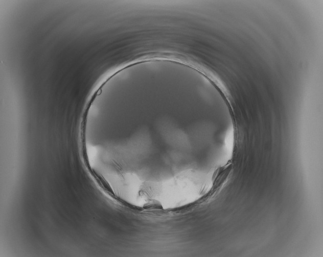 X0000111821533200909031440