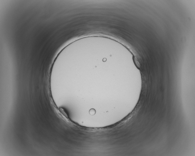X0000111821534200909031440