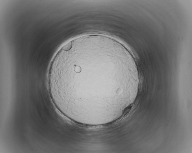 X0000111821535200909031440