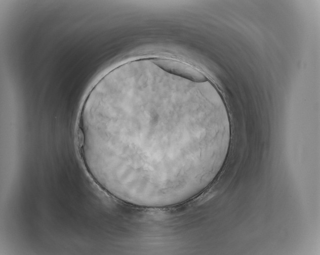 X0000111821536200909031440