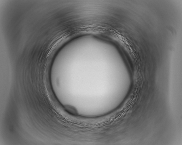 X0000111830001200907231032