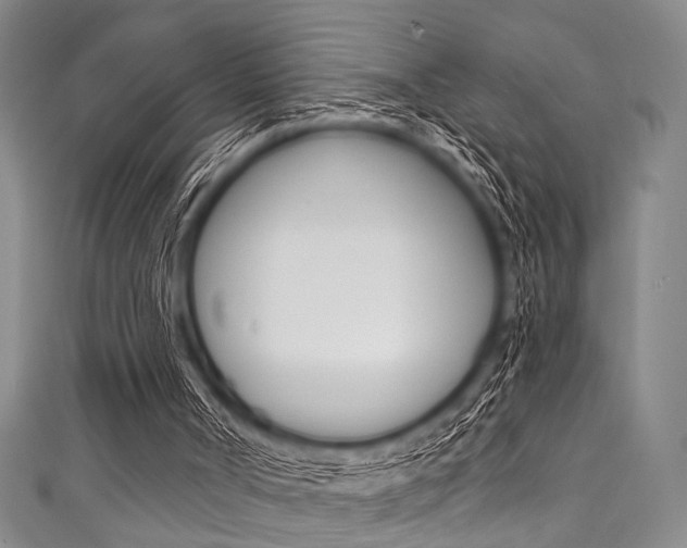 X0000111830002200907231032