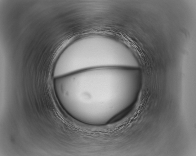 X0000111830003200907231032