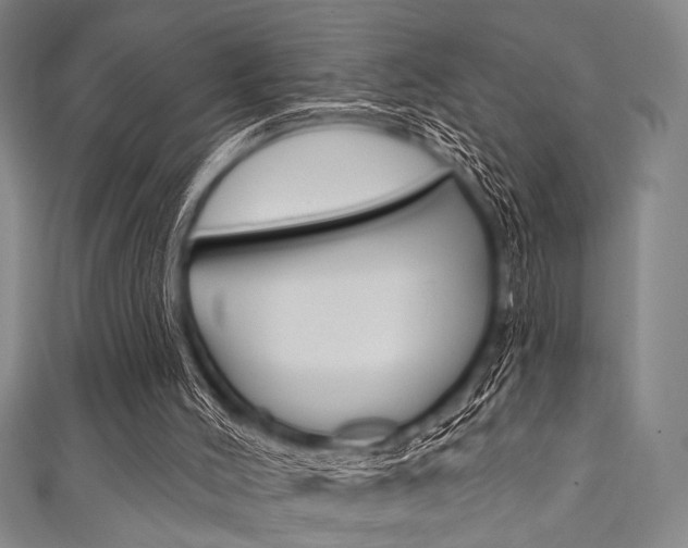 X0000111830004200907231032