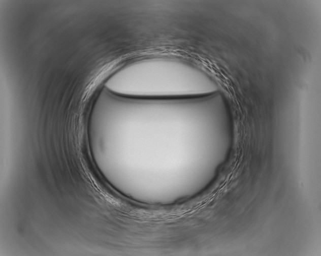 X0000111830005200907231032