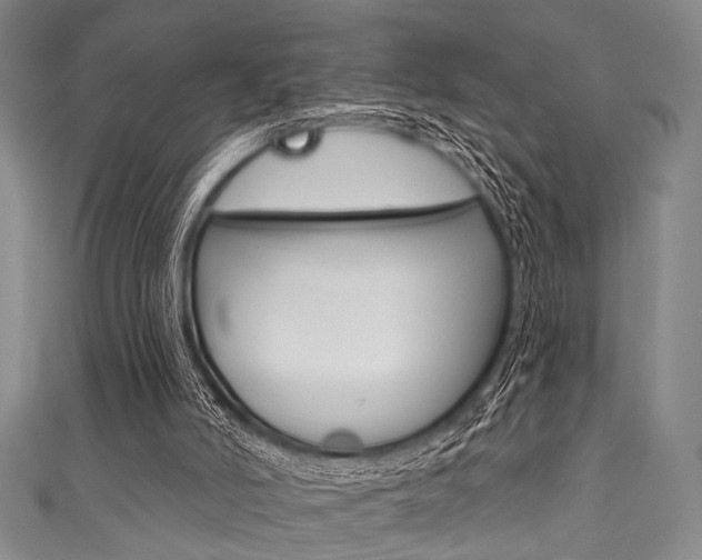 X0000111830006200907231032