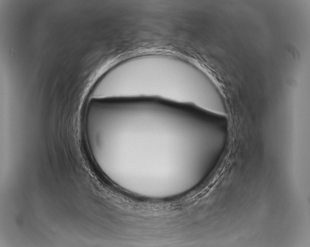 X0000111830008200907231032