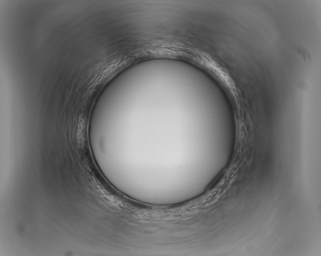 X0000111830009200907231032