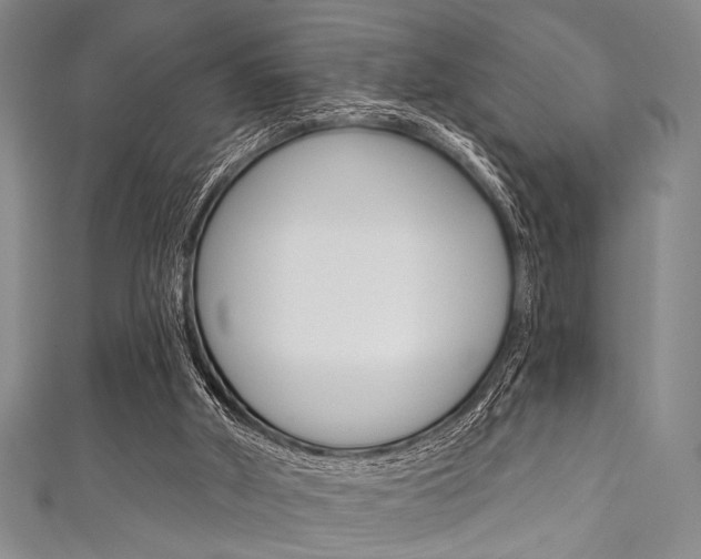 X0000111830010200907231032