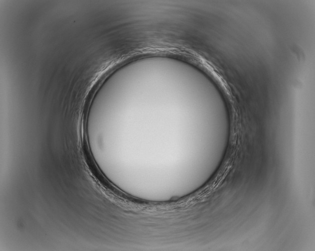 X0000111830011200907231032