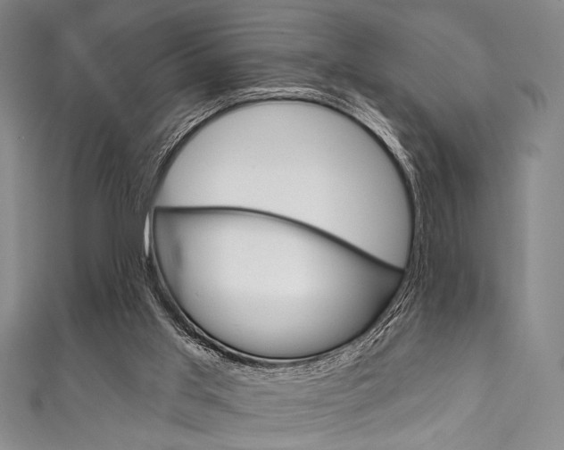 X0000111830013200907231031