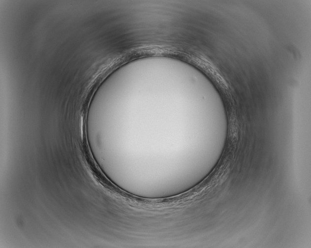X0000111830014200907231031