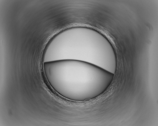 X0000111830015200907231031