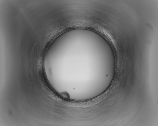 X0000111830017200907231031