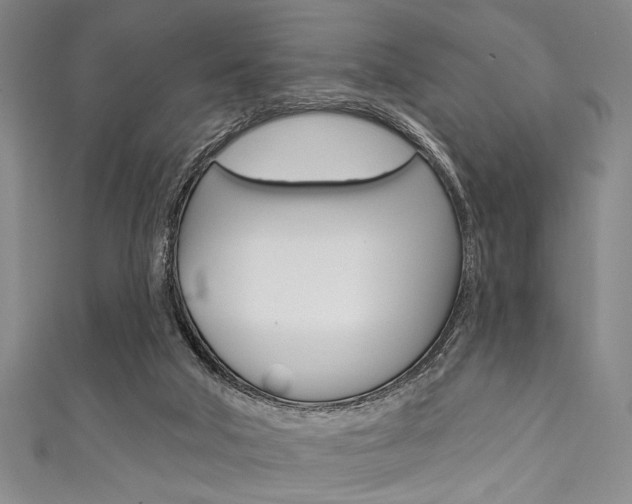 X0000111830018200907231031