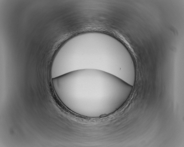 X0000111830019200907231031