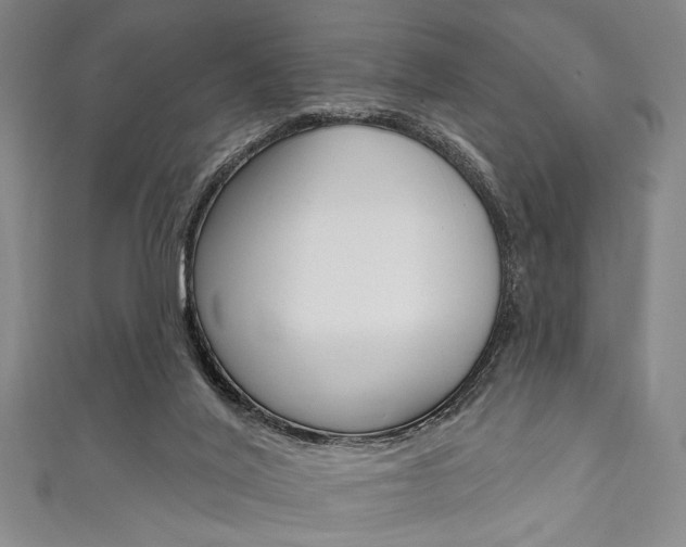 X0000111830020200907231031