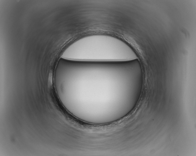X0000111830021200907231031