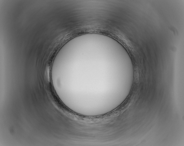 X0000111830022200907231031