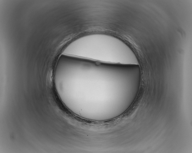 X0000111830024200907231031