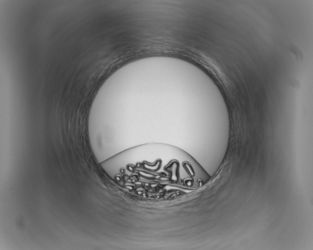 X0000111830025200907231031